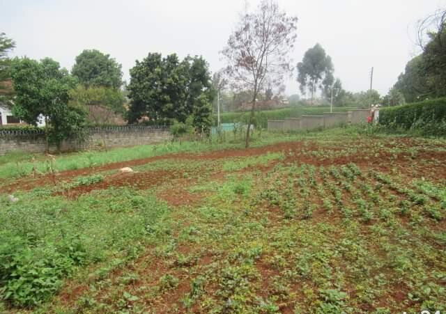 0.5 Acre Runda Plot at KSh 55M