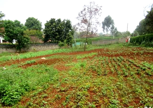 0.5 Acre Runda Plot at KSh 55M