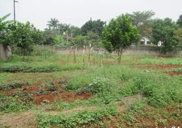 0.5 Acre Runda Plot at KSh 55M