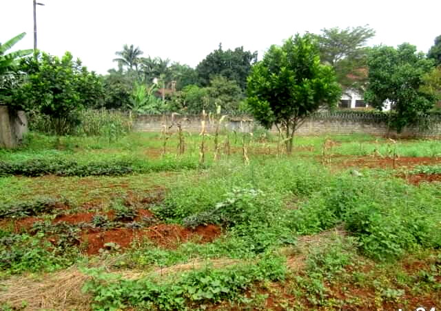0.5 Acre Runda Plot at KSh 55M