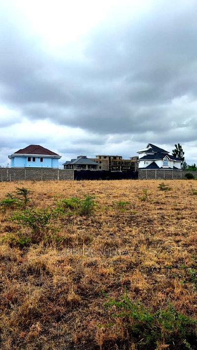 1/4 Acre Kitengela Kimalat - Image 8