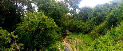 4.5-Acre Land with Garden and Parking