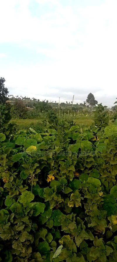 Land on Sale at Flyover Kinangop - Image 10