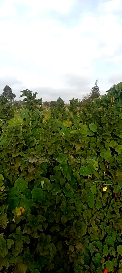 Land on Sale at Flyover Kinangop - Image 9