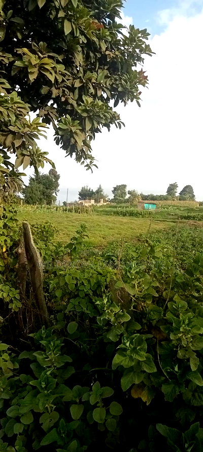 Land on Sale at Flyover Kinangop - Image 1