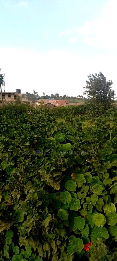 Land on Sale at Flyover Kinangop - Image 11