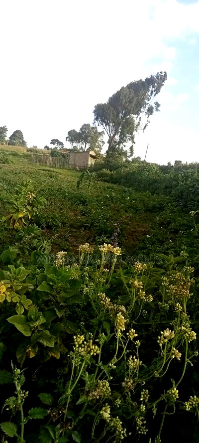 Land on Sale at Flyover Kinangop - Image 6