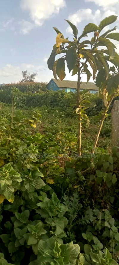 Land on Sale at Flyover Kinangop - Image 2