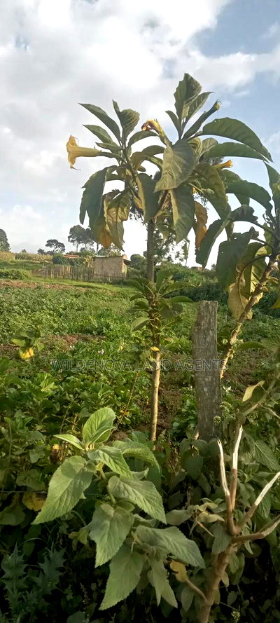 Land on Sale at Flyover Kinangop - Image 4