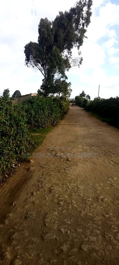 Land on Sale at Flyover Kinangop - Image 8