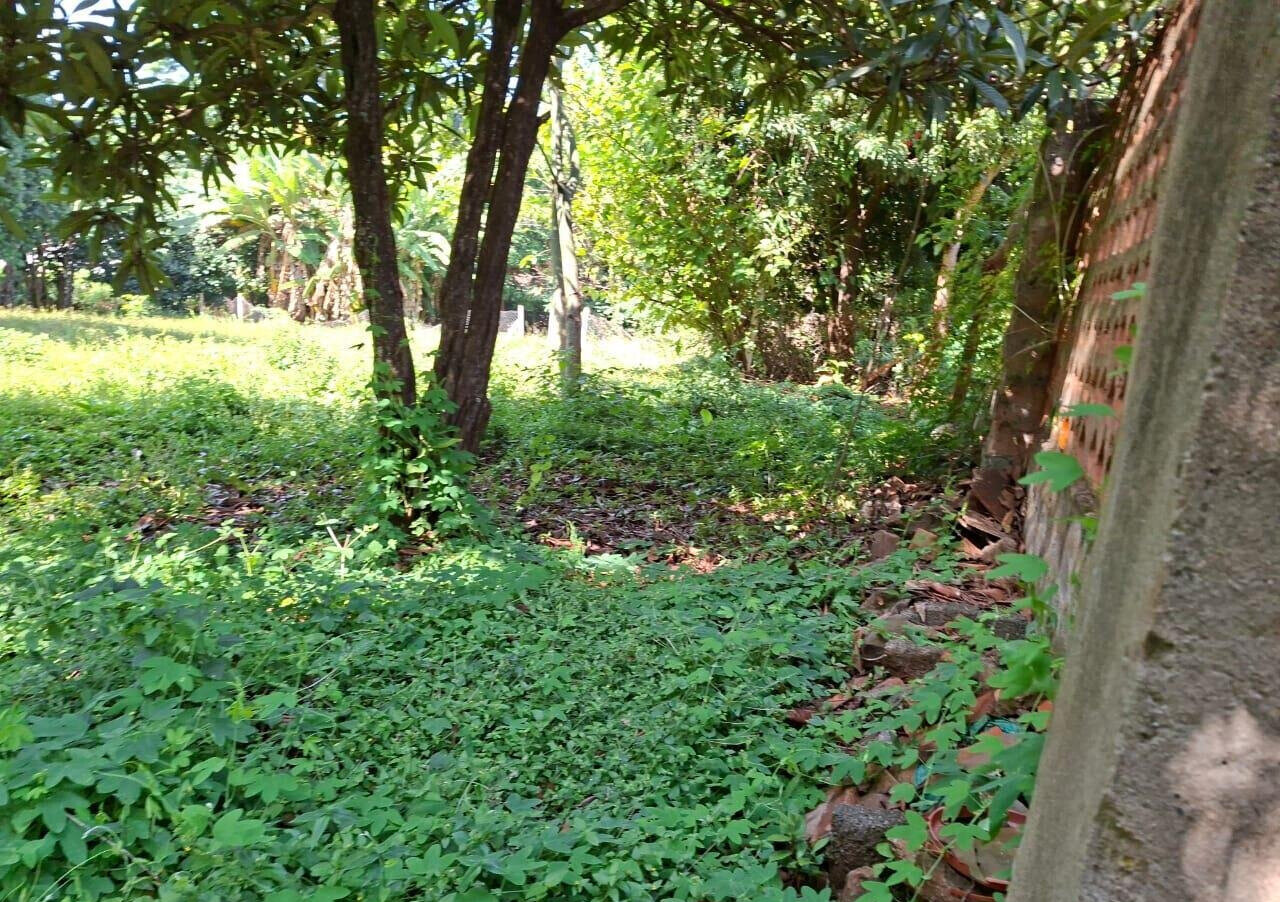 KSh 68M Half Acre Plot