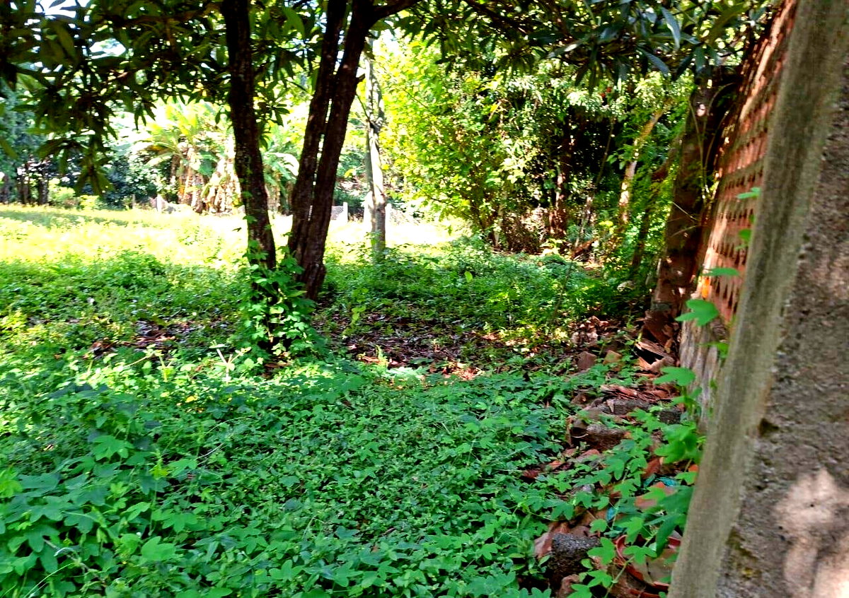 KSh 68M Half Acre Plot