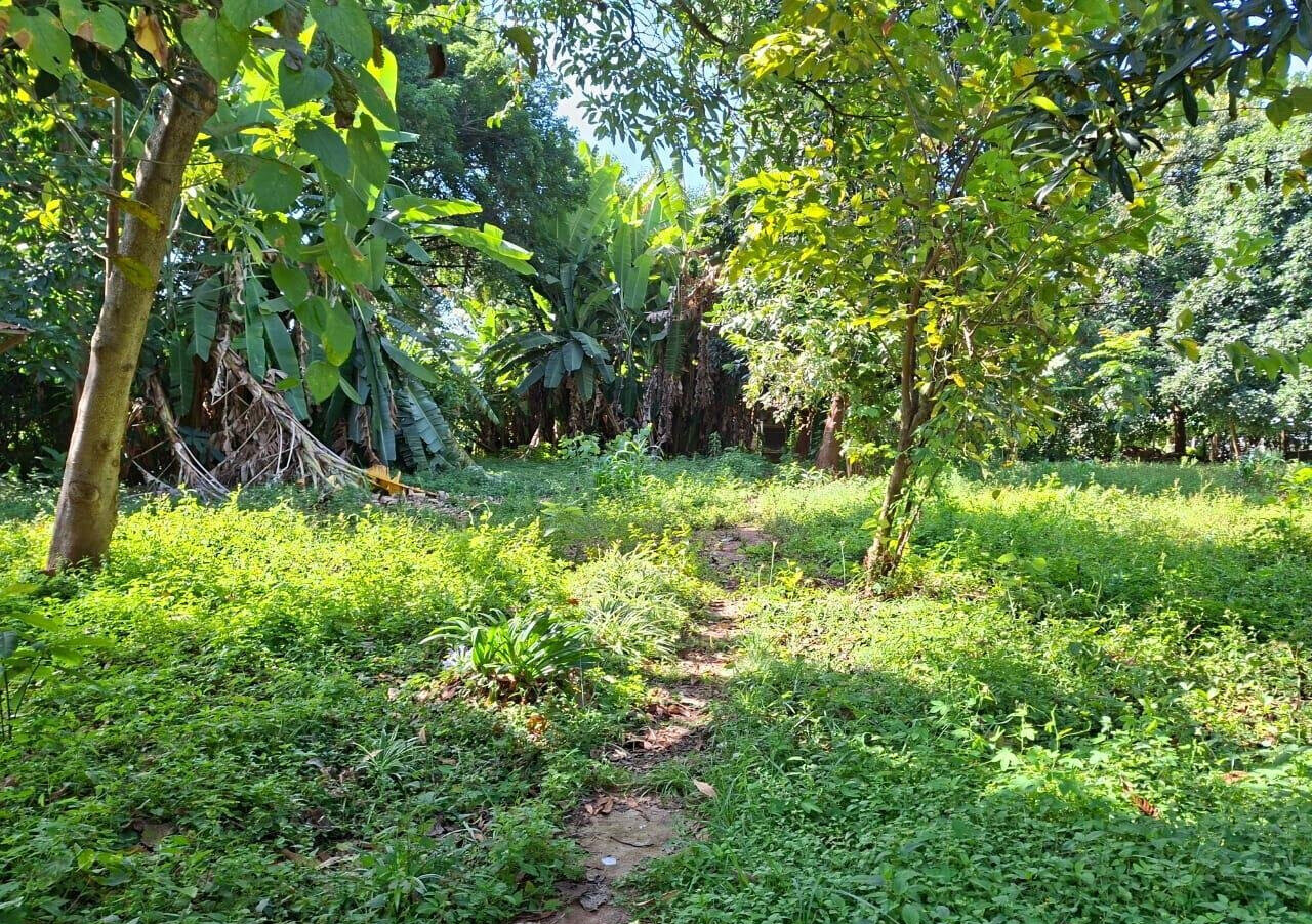KSh 68M Half Acre Plot