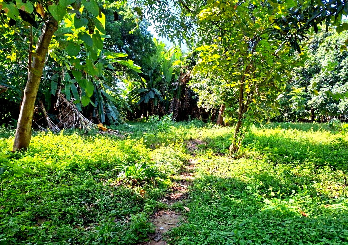 KSh 68M Half Acre Plot