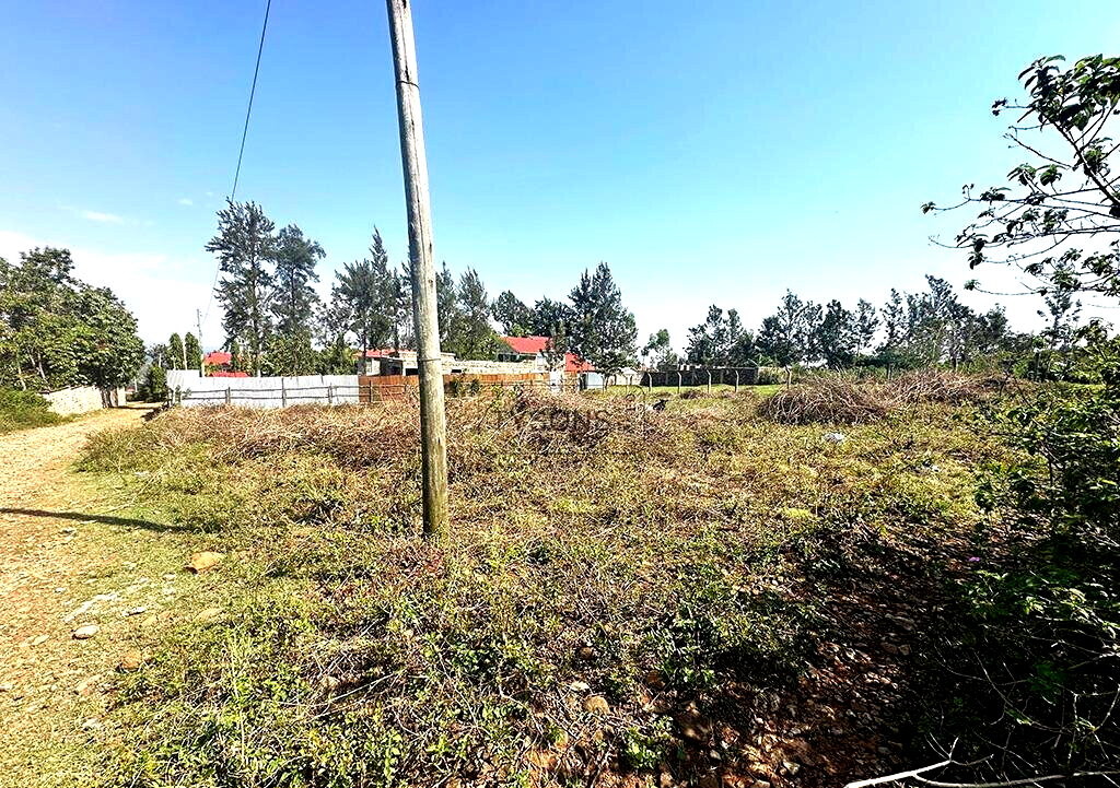 KSh 3.5M Plot in Kisumu CBD