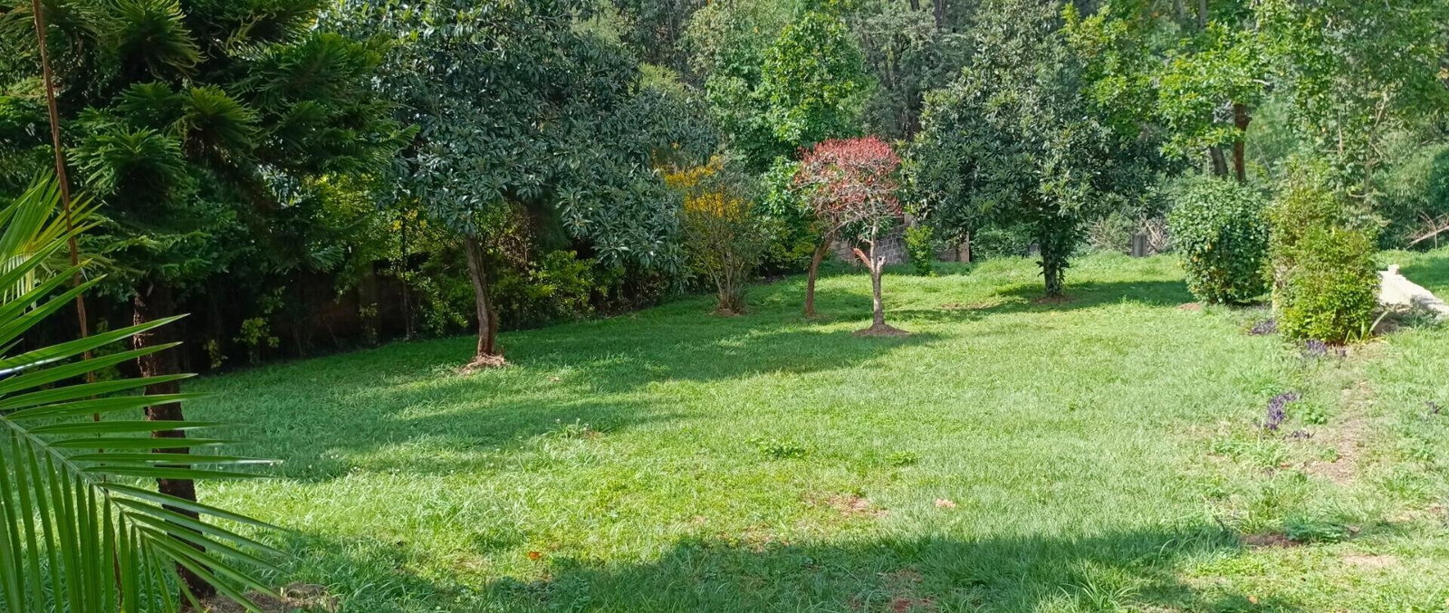 3/4 Acre Riverside Plot for KSh 180M