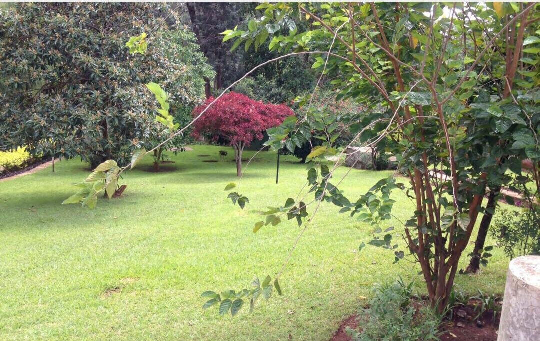 3/4 Acre Riverside Plot for KSh 180M