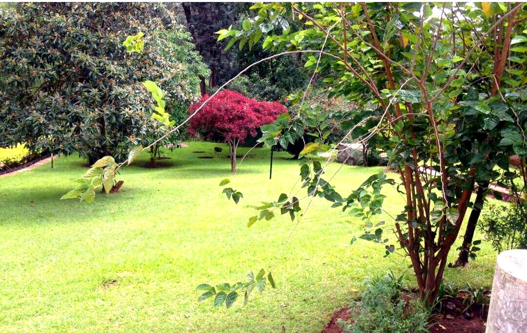 3/4 Acre Riverside Plot for KSh 180M