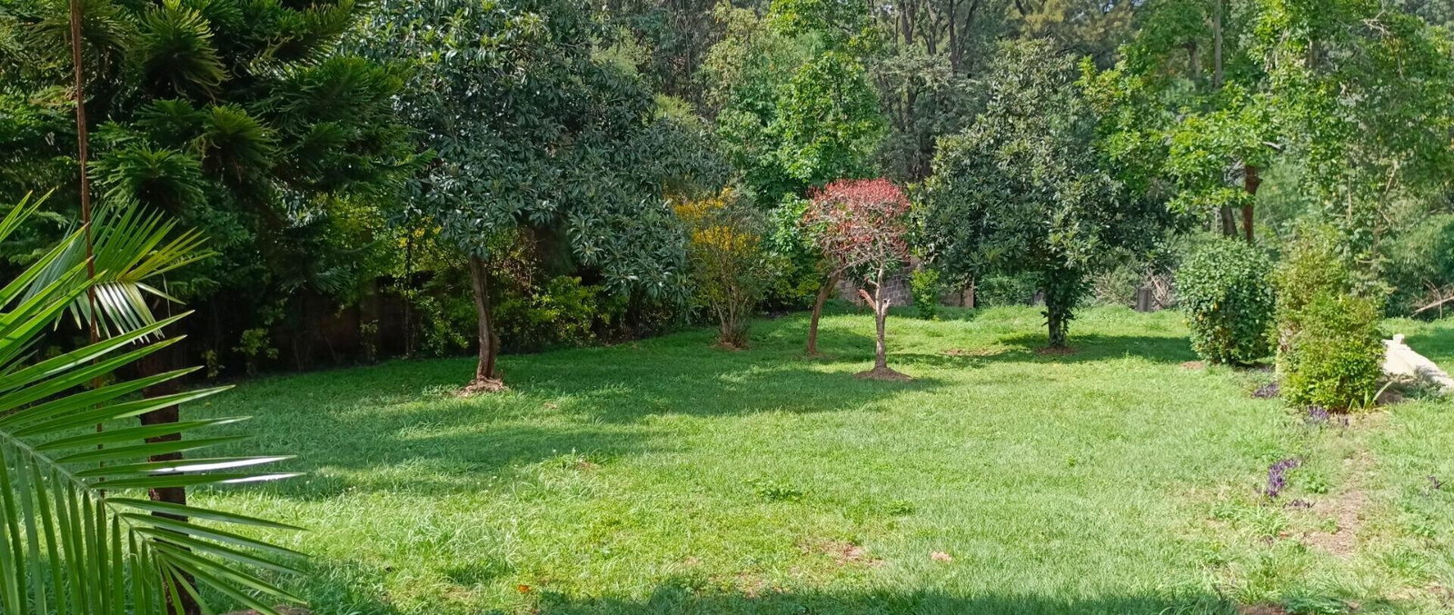 3/4 Acre Riverside Plot for KSh 180M