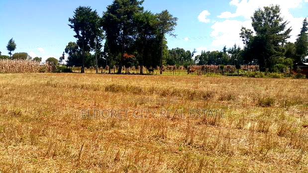 1/4 Plots Ilula Less Than 1km From Tarmac