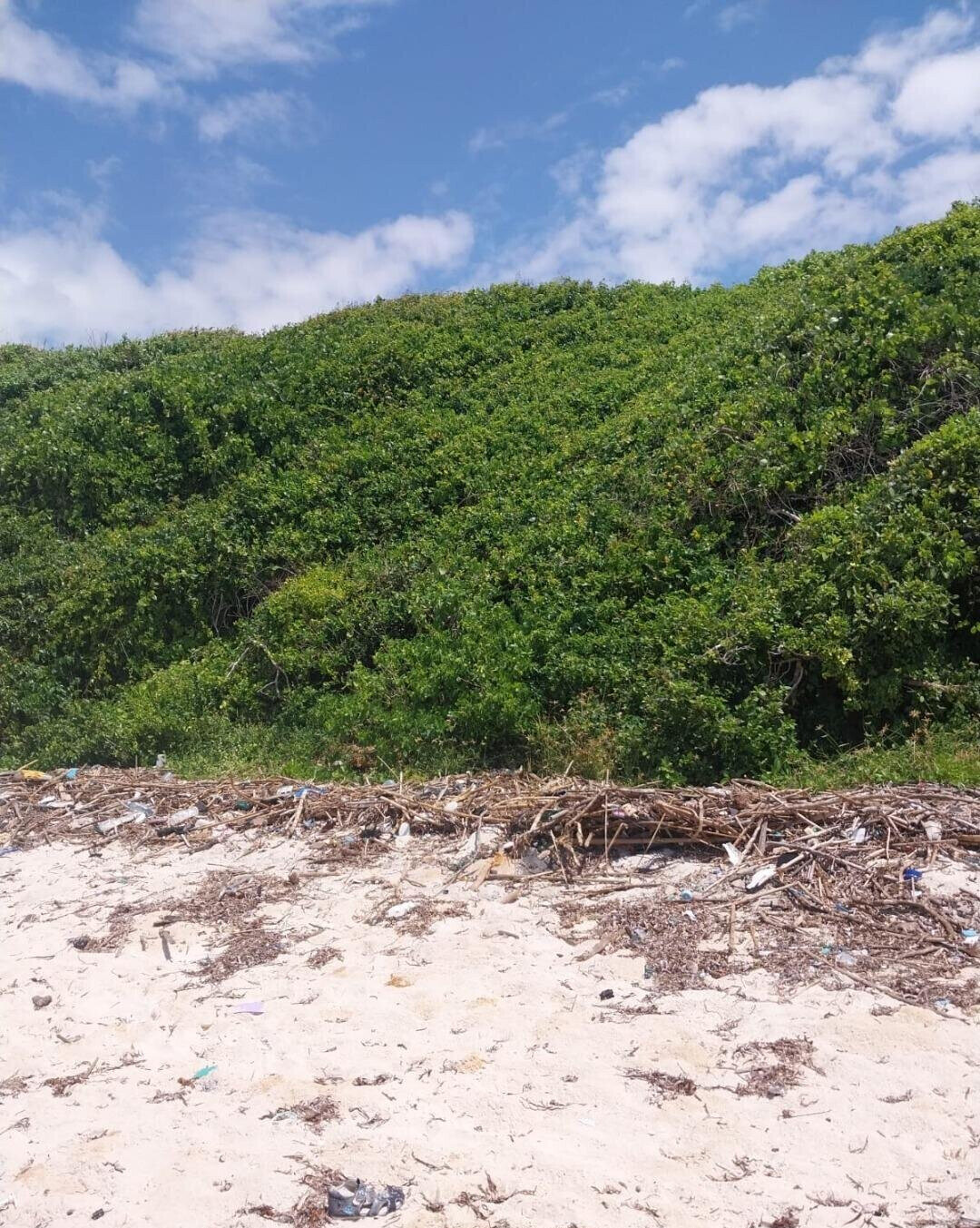 KSh 18M Beach Plot with Garden