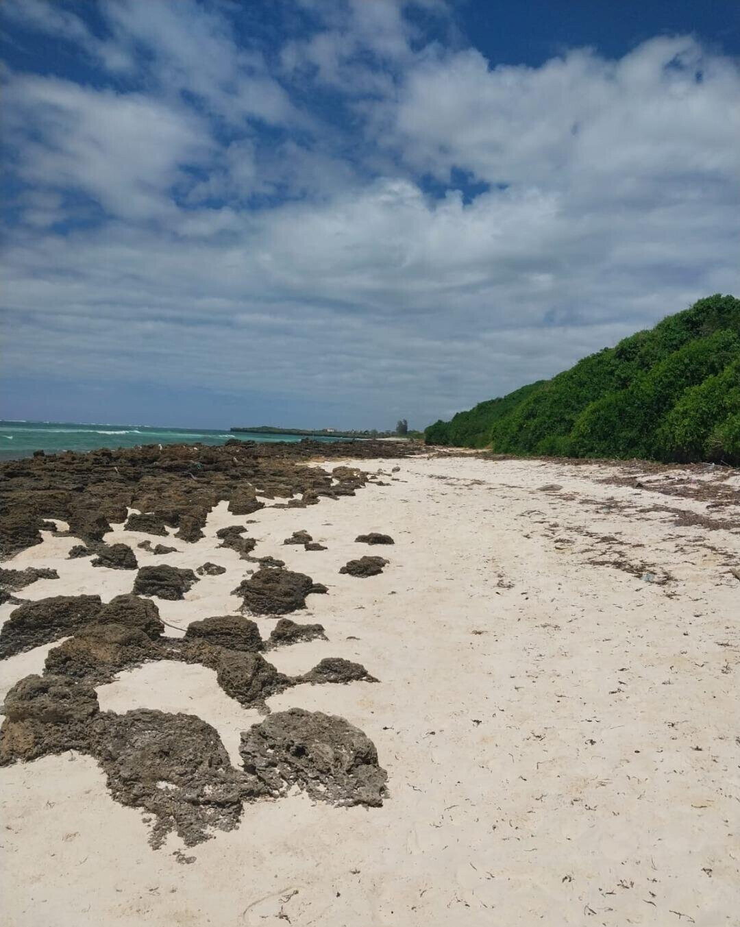 KSh 18M Beach Plot with Garden