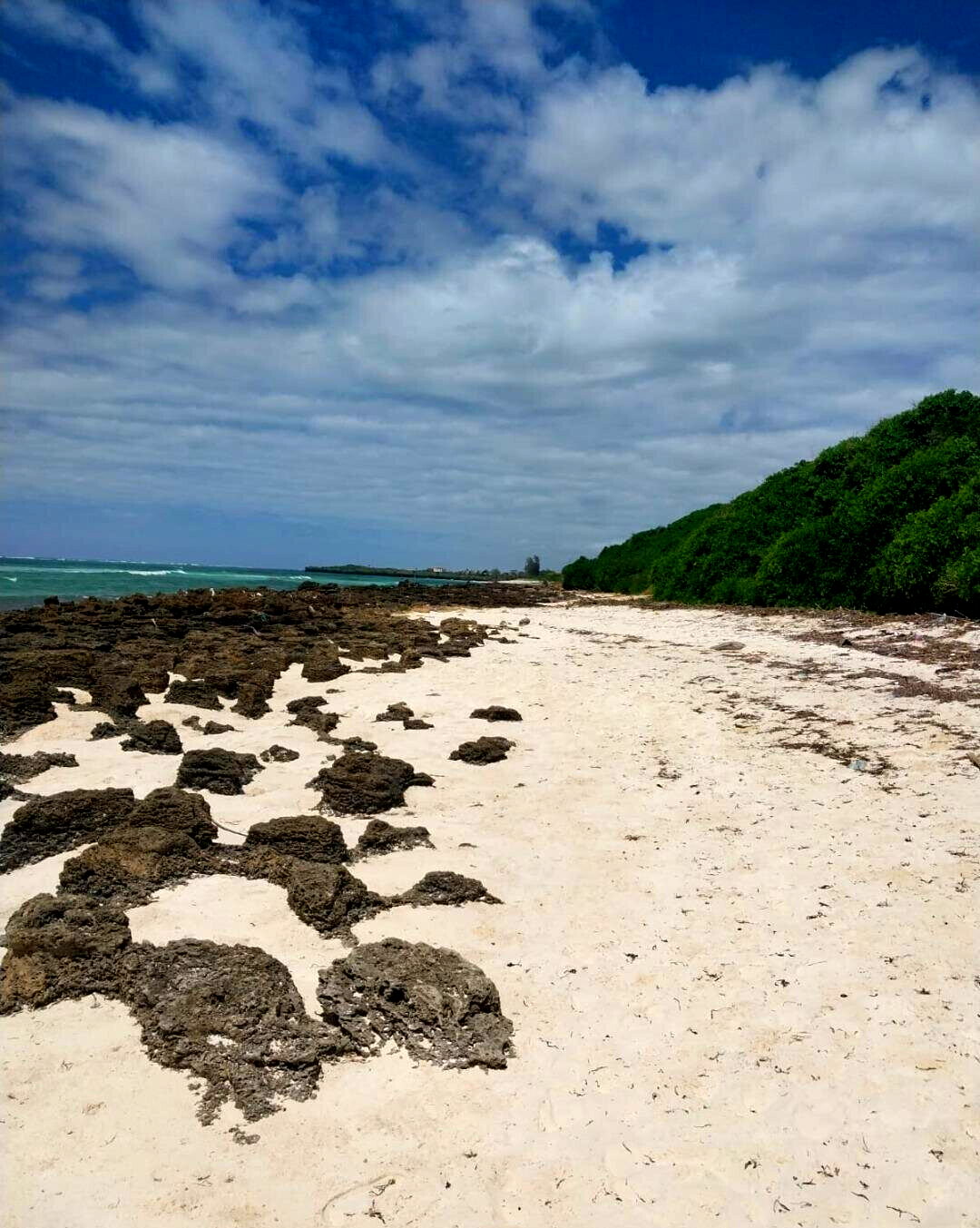 KSh 18M Beach Plot with Garden