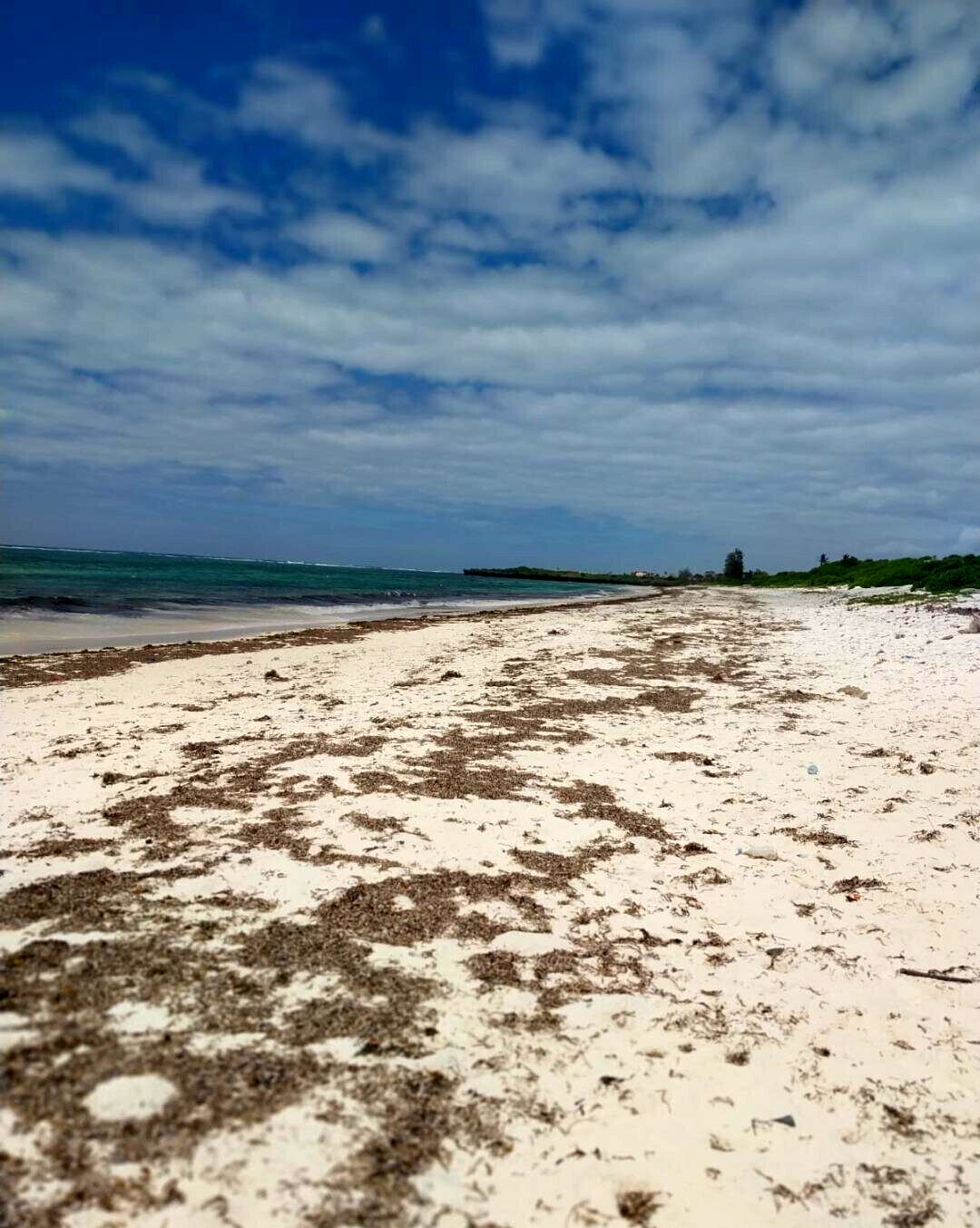 KSh 18M Beach Plot with Garden