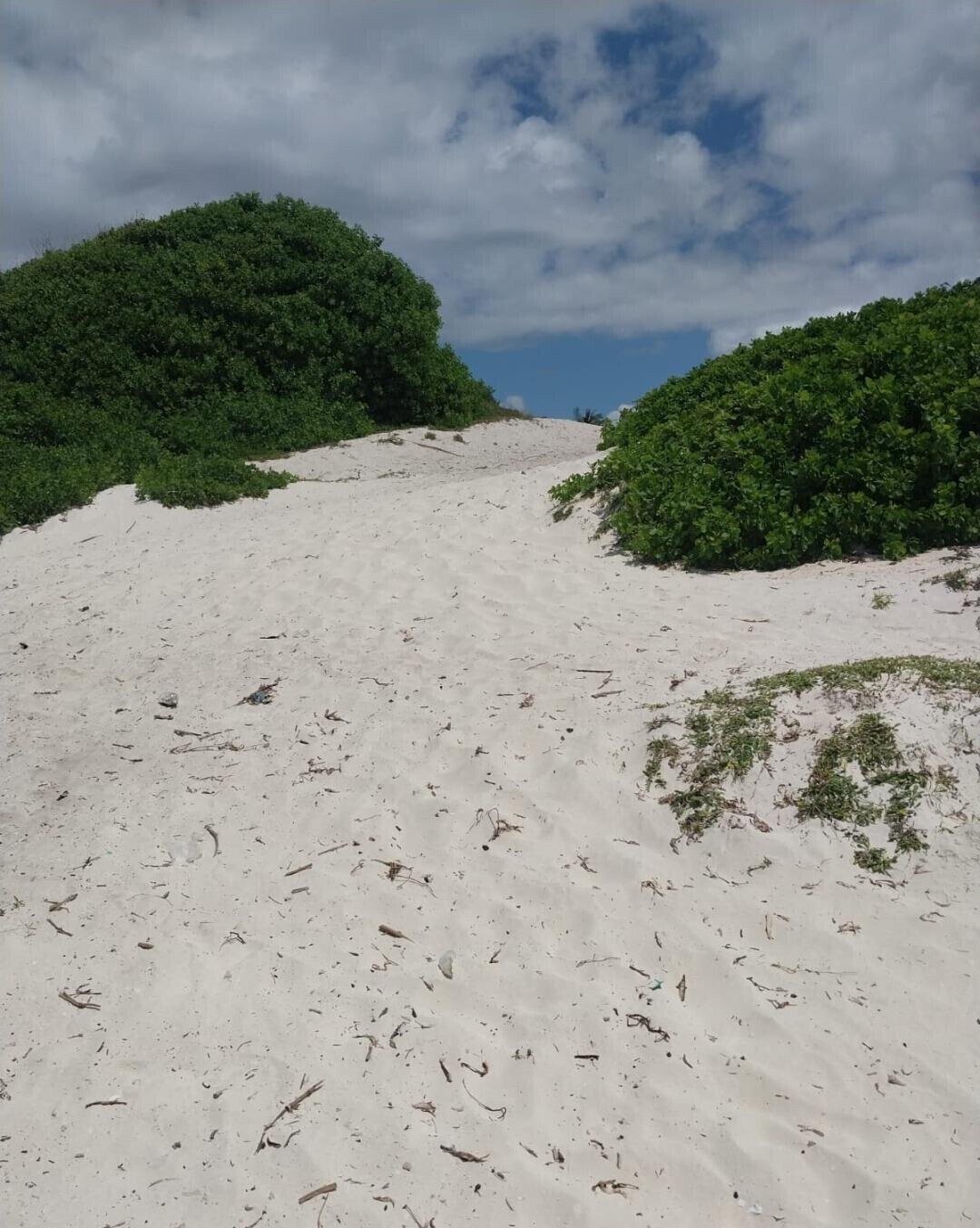 KSh 18M Beach Plot with Garden