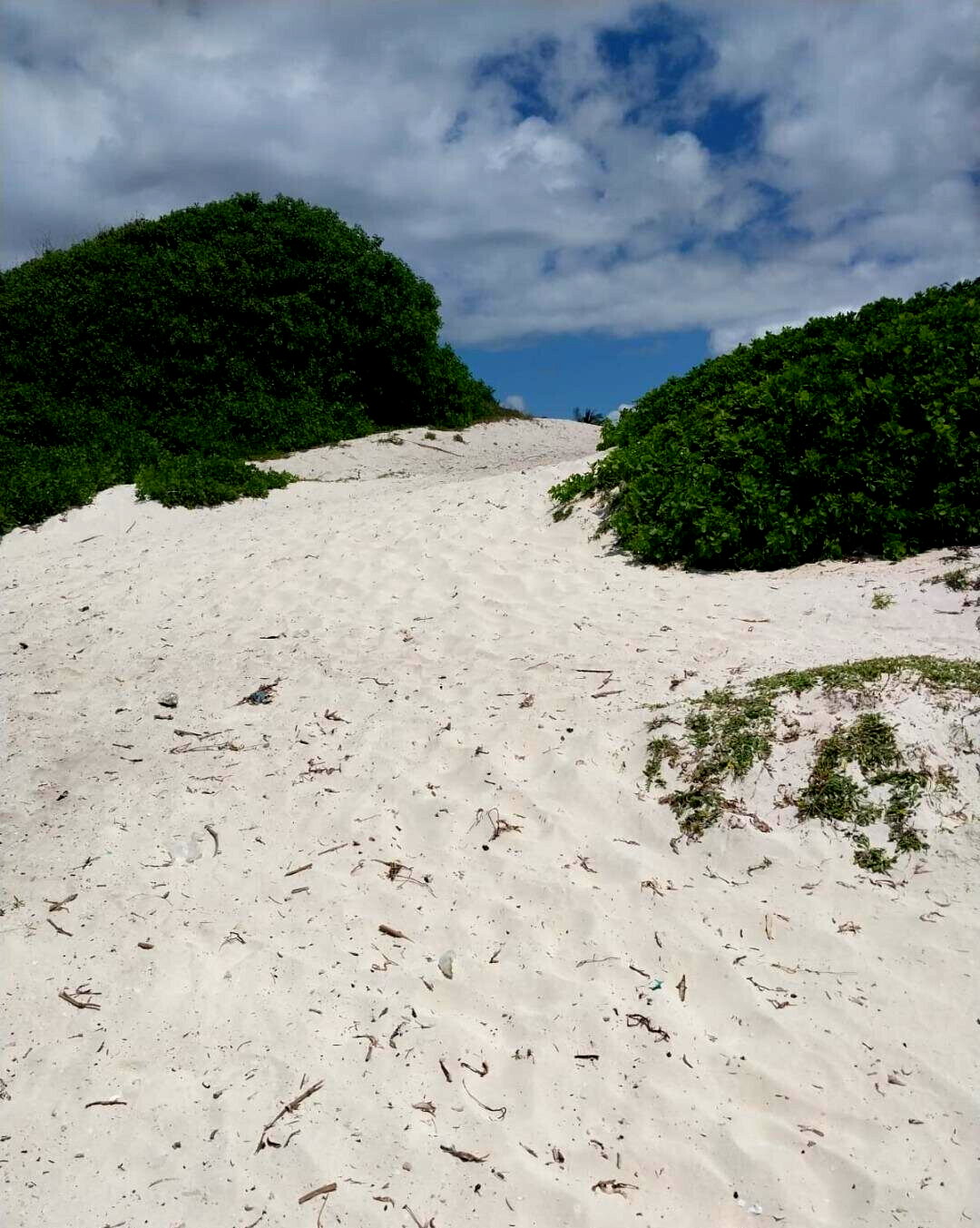 KSh 18M Beach Plot with Garden