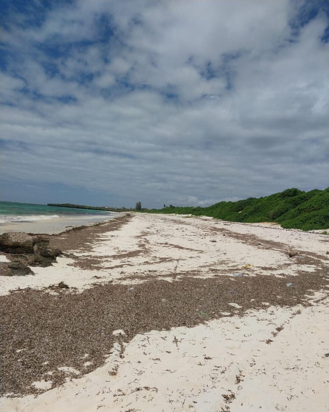 KSh 18M Beach Plot with Garden