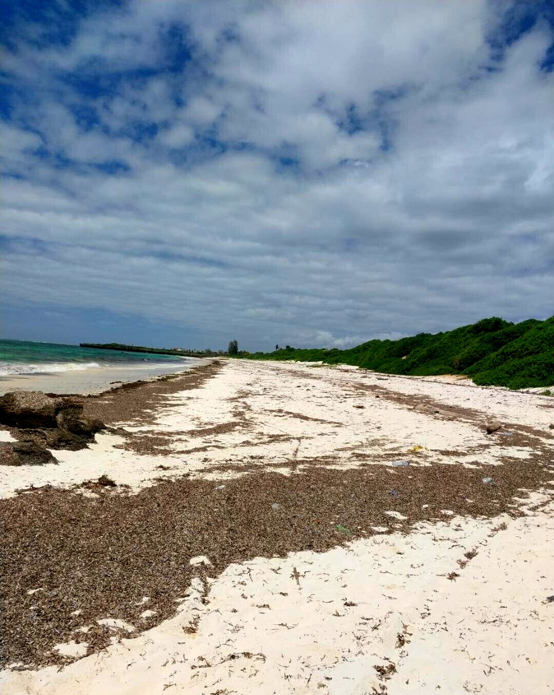 KSh 18M Beach Plot with Garden