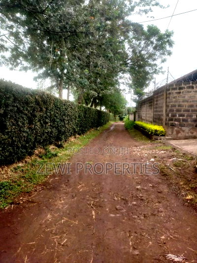 1/4 Acre Plot Matasia, Barabara Mpya - Image 3