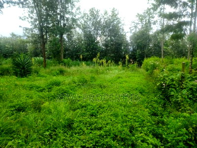 1/4 Acre Plot Matasia, Barabara Mpya - Image 2