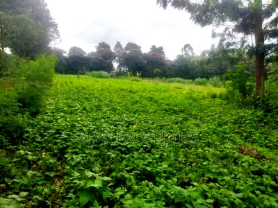 1/4 Acre Plot Matasia, Barabara Mpya - Image 4