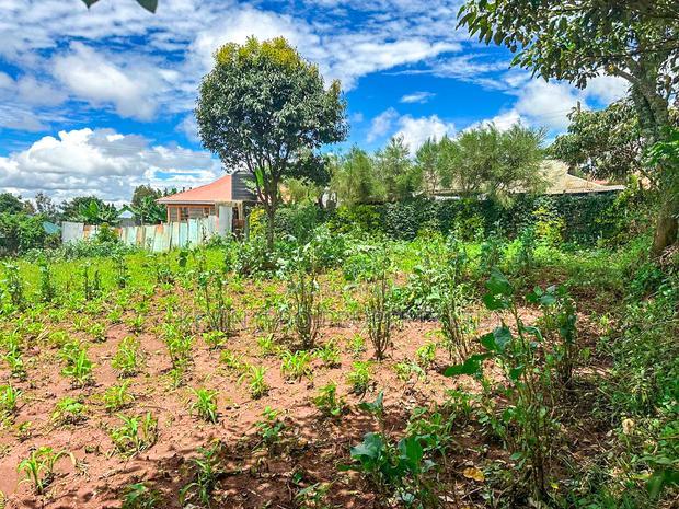 Plot for Sale in Kikuyu, Gikambura (Along Green-Gardens Road