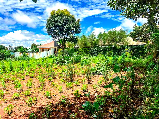 Plot for Sale in Kikuyu, Gikambura (Along Green-Gardens Road
