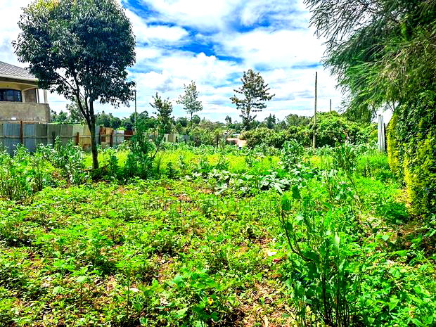 Plot for Sale in Kikuyu, Gikambura (Along Green-Gardens Road