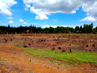 Residential Plots for Sale in Royaltone, Eldoret - Image 2