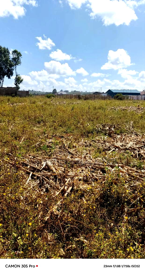 1/4 Plot Maili Nne With Title.