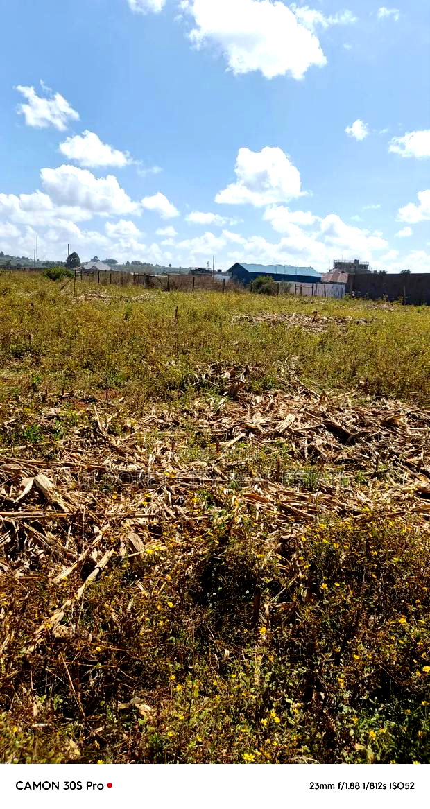 1/4 Plot Maili Nne With Title.