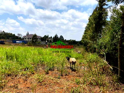 Land for Sale Touching Tarmac in Kikuyu, Kamangu. - Image 8