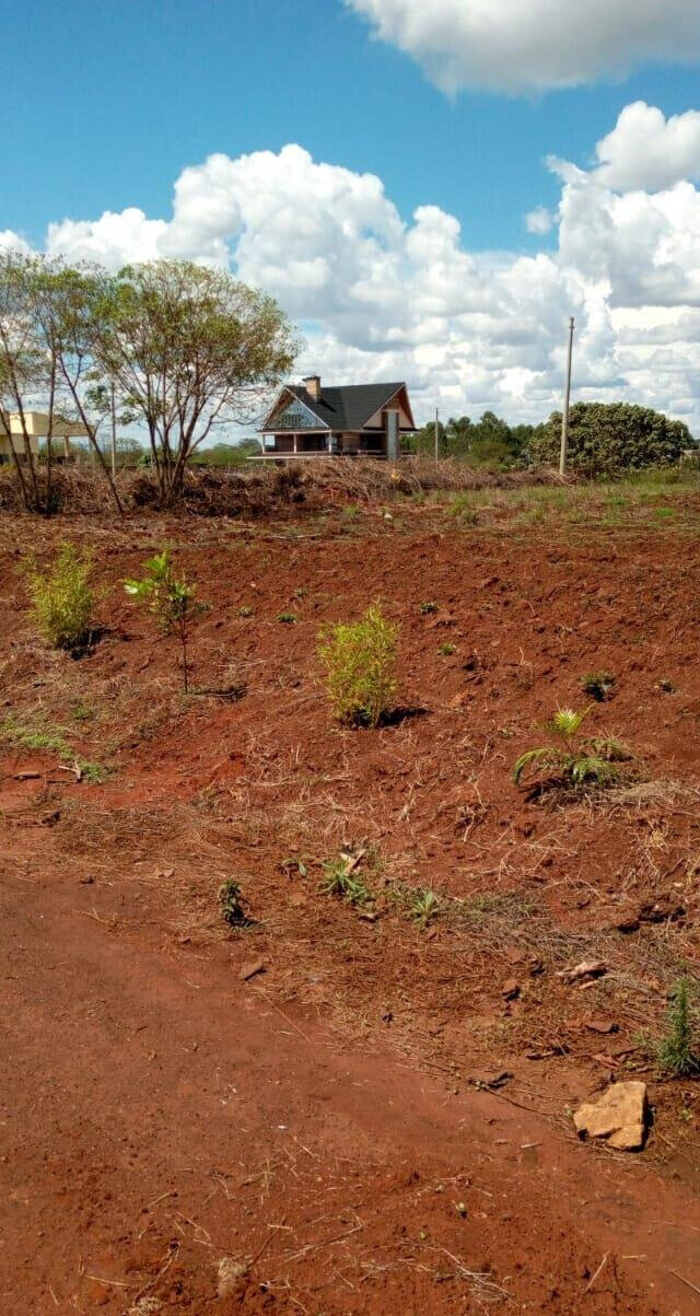 KSh 10M Quarter Acre Plot