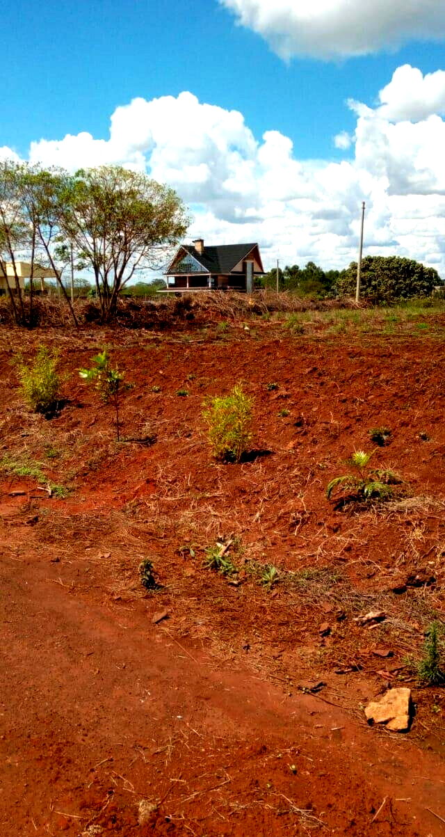 KSh 10M Quarter Acre Plot