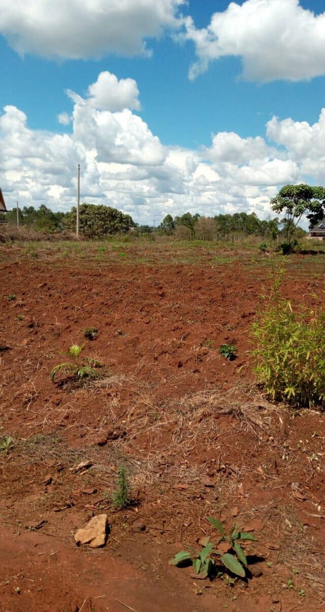 KSh 10M Quarter Acre Plot