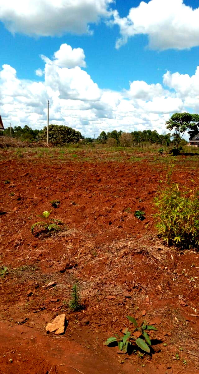 KSh 10M Quarter Acre Plot