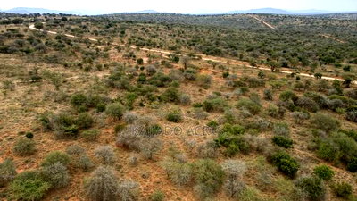 18 Acres Imaroro at 550,000kshs Per Acre - Image 8