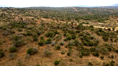 18 Acres Imaroro at 550,000kshs Per Acre - Image 10
