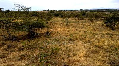 18 Acres Imaroro at 550,000kshs Per Acre - Image 11
