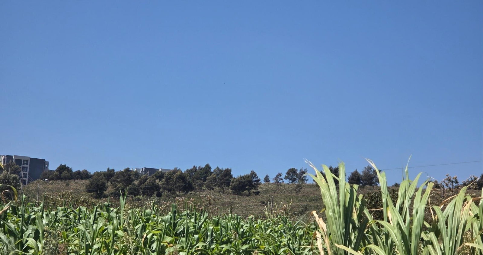 Redhill Garden Plot for KSh 25M